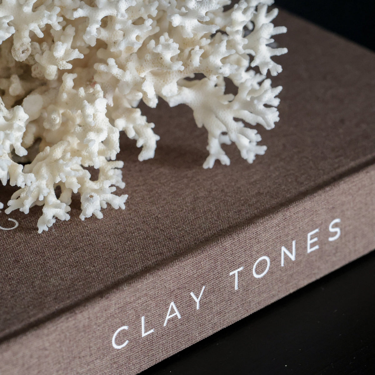 Clay Tones styled on coffee table